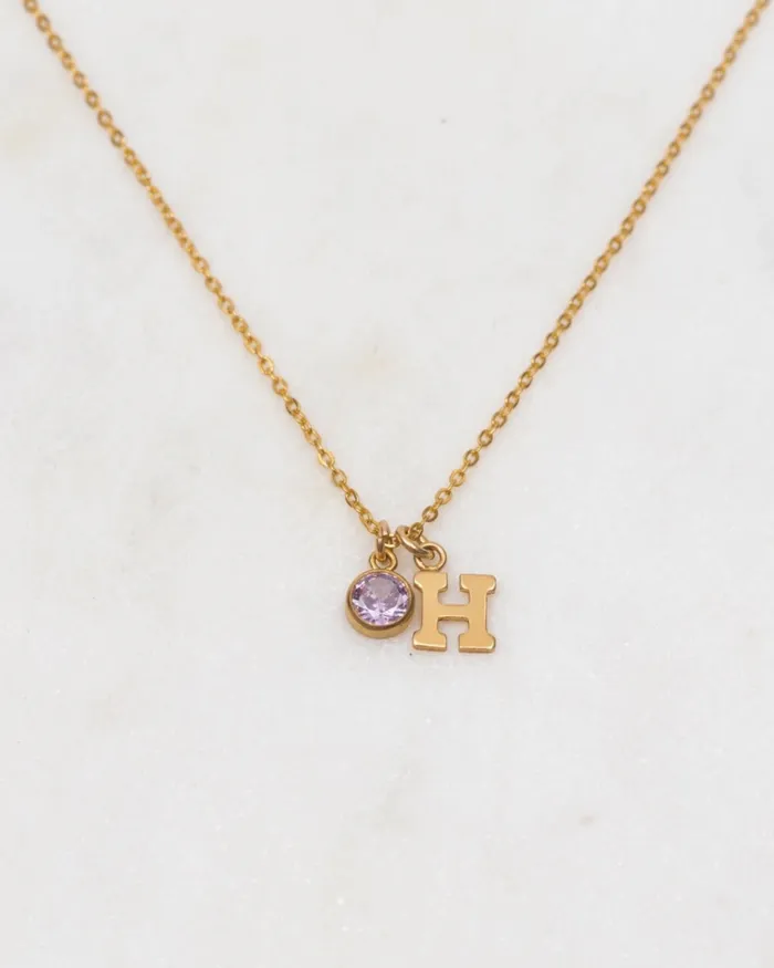 Initial H with Birthstone Necklace ERIJEWELRY Necklaces