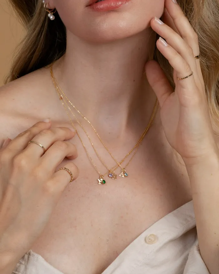 Initial H with Birthstone Necklace ERIJEWELRY Necklaces